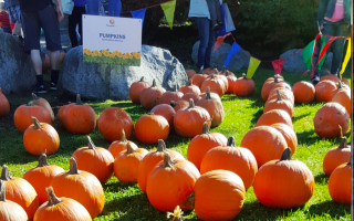 PumpkinFest 2018