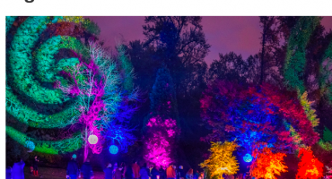 Light Festival at Bear Creek Park, 2018