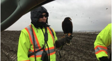 Vancouver Landfill and Raptor Tour!