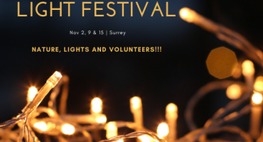 2019 | Bear Creek Park Light Festival | Nov 2,9 & 15