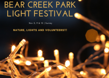 2019 | Bear Creek Park Light Festival | Nov 2,9 & 15